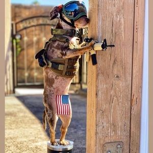 Meet your Posher, Brady